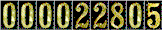 Hit Counter
